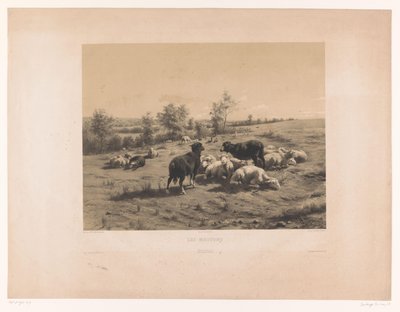 Schapen in een weide door Louis Emmanuel Soulange Teissier