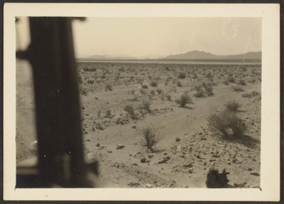 [Amargosa Woestijnplanten]. door Louis Fleckenstein