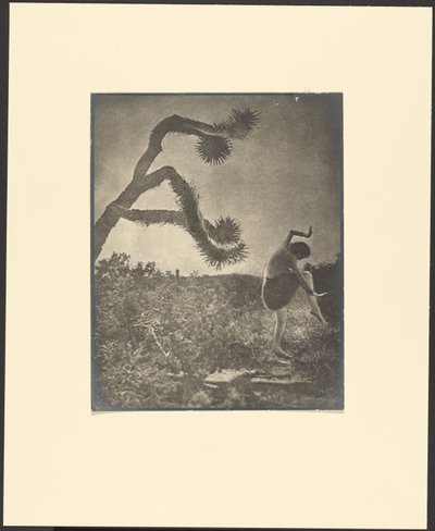Apache dans door Louis Fleckenstein