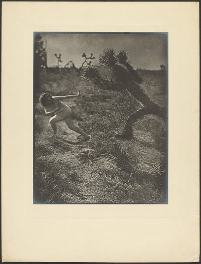  door Louis Fleckenstein