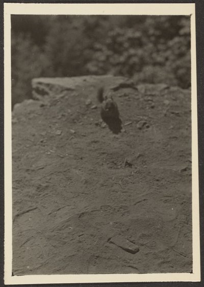 [Chipmonk op Pad]. door Louis Fleckenstein
