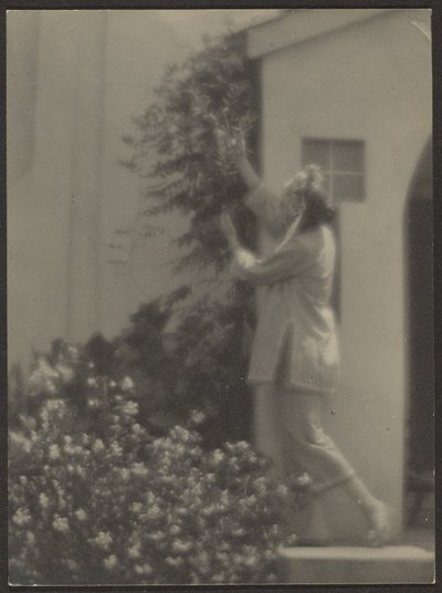 [Danser buiten] door Louis Fleckenstein