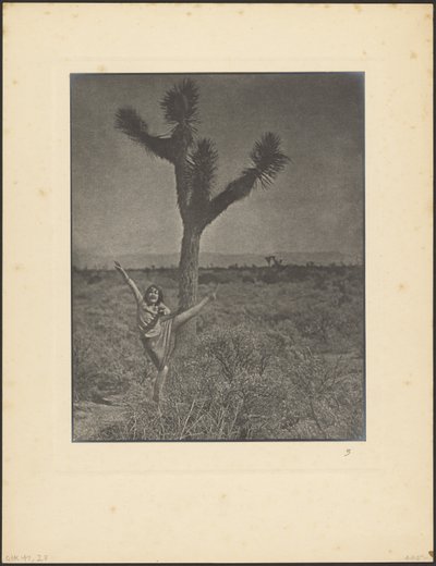  door Louis Fleckenstein