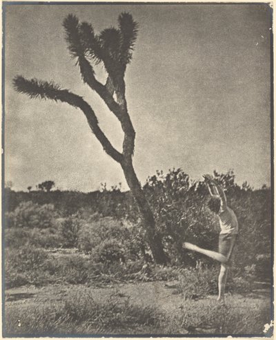 [Danser bij Joshua Tree] door Louis Fleckenstein