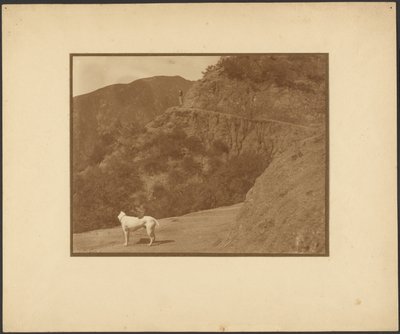 [Hond en vrouw in een berglandschap] door Louis Fleckenstein