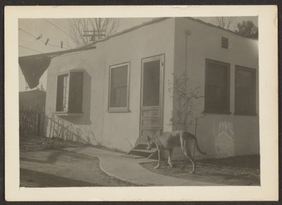 [Hond bij Huis] door Louis Fleckenstein