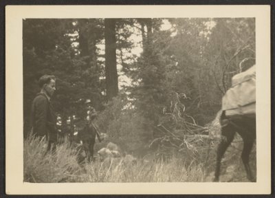 [Figuren in een boslandschap]. door Louis Fleckenstein