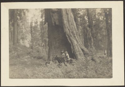 [Figuren te paard in holte van enorme boom]. door Louis Fleckenstein
