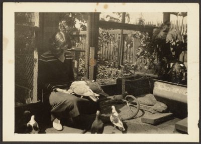 [Florence met Duiven]. door Louis Fleckenstein