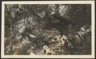 [Forest Lodge]. door Louis Fleckenstein