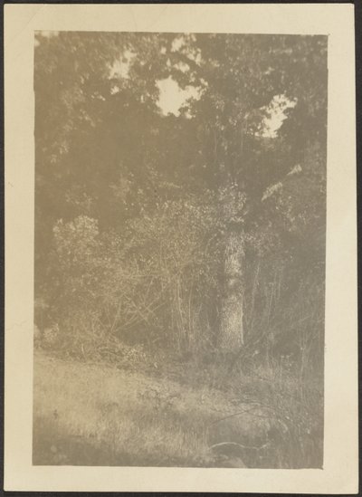 [Landschap] door Louis Fleckenstein