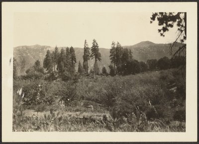 [Landschap] door Louis Fleckenstein