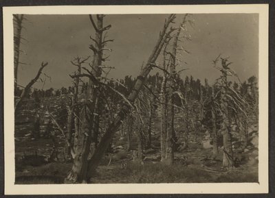 [Landschap] door Louis Fleckenstein