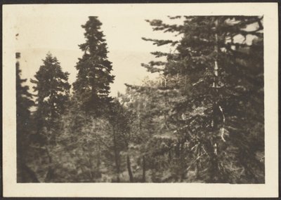 [Landschap] door Louis Fleckenstein