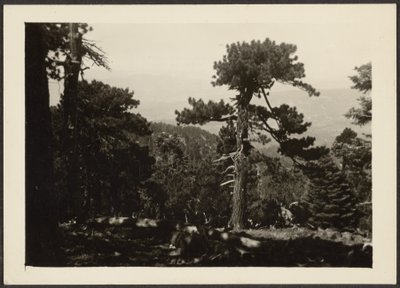[Landschap] door Louis Fleckenstein