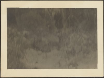 [Landschap] door Louis Fleckenstein