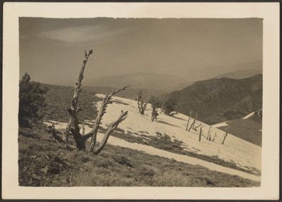 [Landschap] door Louis Fleckenstein