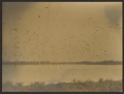 [Landschap met vogels] door Louis Fleckenstein