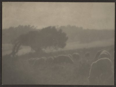 [Landschap met schapen] door Louis Fleckenstein