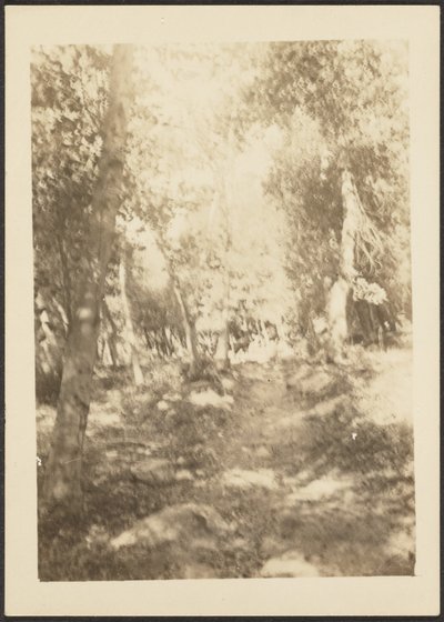 [Landschap met wilde herten]. door Louis Fleckenstein