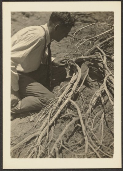 [Man met wortels]. door Louis Fleckenstein