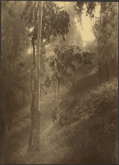  door Louis Fleckenstein