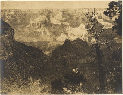 [Bergachtig landschap met kale boom] door Louis Fleckenstein
