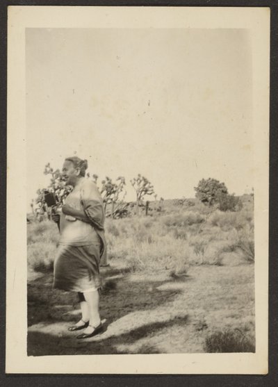 [Mevrouw Fleckenstein in Landschap] door Louis Fleckenstein