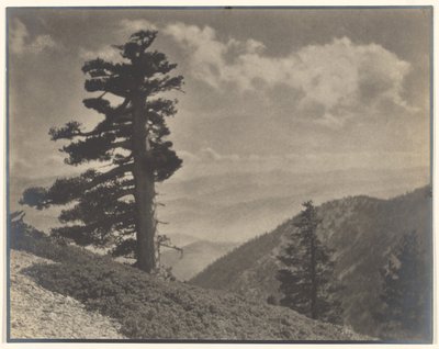 [On Ridge to Old Baldy]. door Louis Fleckenstein