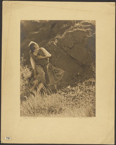  door Louis Fleckenstein