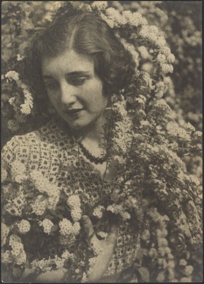 Spirea door Louis Fleckenstein