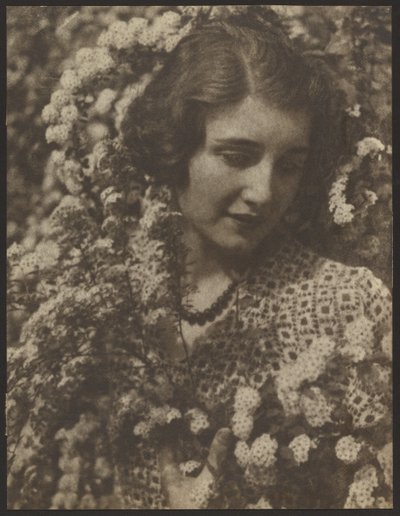 Spirea door Louis Fleckenstein
