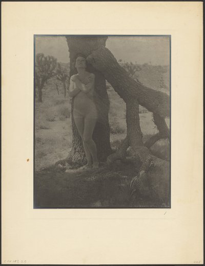  door Louis Fleckenstein