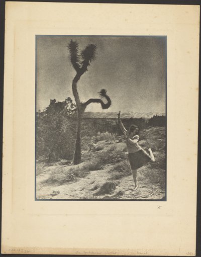  door Louis Fleckenstein