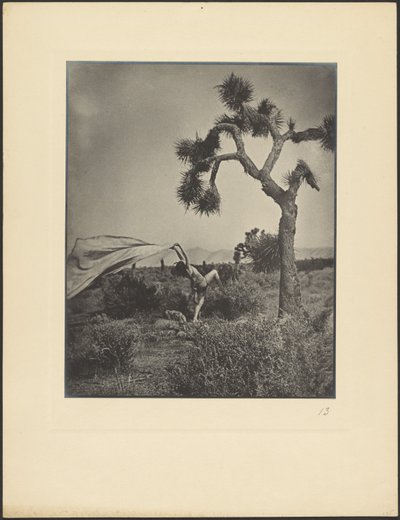 De woestijnwind door Louis Fleckenstein