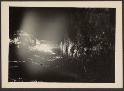 [Waterval op Rogue River]. door Louis Fleckenstein
