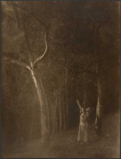 [Biddende vrouw tussen de bomen]. door Louis Fleckenstein
