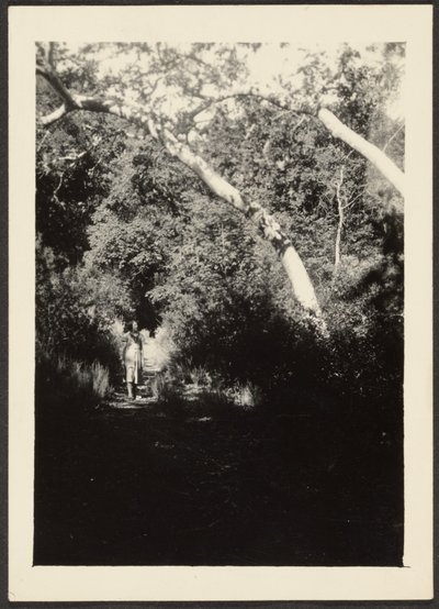 [Vrouw op pad in bos]. door Louis Fleckenstein