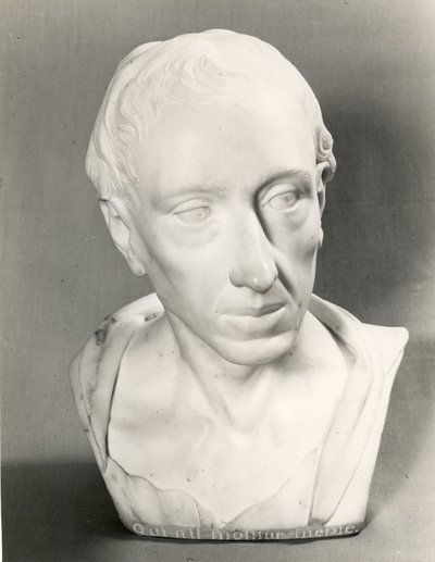 Buste van Alexander Pope door Louis Francois Roubillac