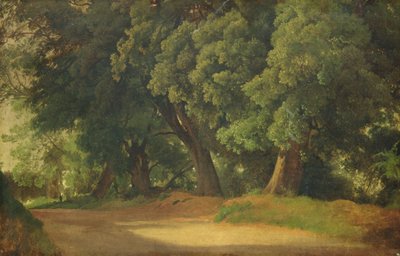 Eikenbomen in Holstein door Louis Gurlitt