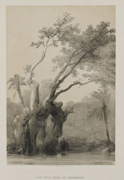Egypte en Nubië, Deel III: De Heilige Boom van Metereah, 1849 door Louis Haghe
