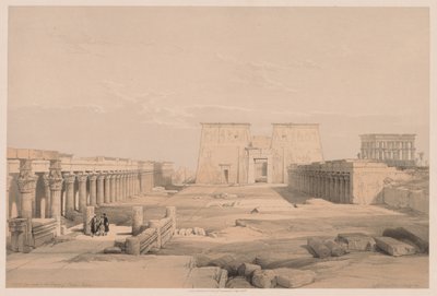 Egypte en Nubië: Deel I - Nr. 42, Grote Toegang tot de Tempel van Philae, Nubië, 1838 door Louis Haghe