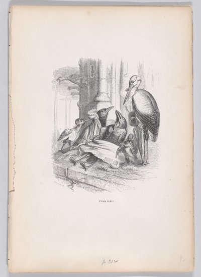 Ik was een weduwe uit Scènes uit het Privé- en Openbare Leven van Dieren, ca. 1837-47 door Louis Henri Brévière
