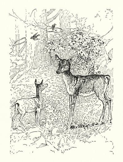 Het Hert en zijn Moeder door Louis John Rhead