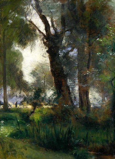De rand van de Karlsaue, Kassel door Louis Kolitz
