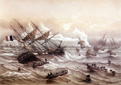 Walvisvangst in Newfoundland. Begin 19e eeuw door Louis Le Breton