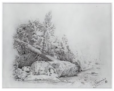 Omgevallen Boom, Keene Valley, 25 juli 1883 door Louis Michel Eilshemius