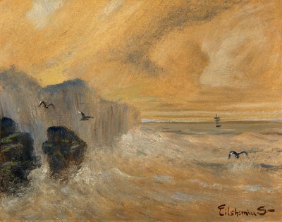 Rotsachtige Kust, laat 19e-begin 20e eeuw door Louis Michel Eilshemius