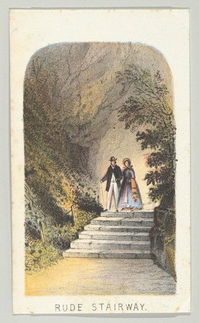 Ruwe trap, uit de serie, Uitzichten in Central Park, New York, Deel 2, 1864 door Louis Prang