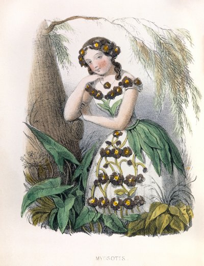  door Louis Simon (1810-1870) Lassalle